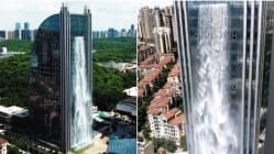 Related article image