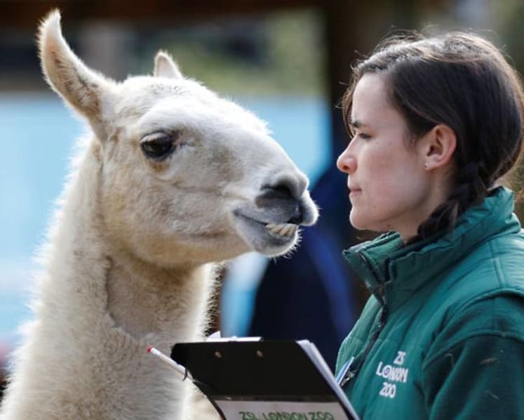 Commentary: The London Zoo helps animals with this one simple act