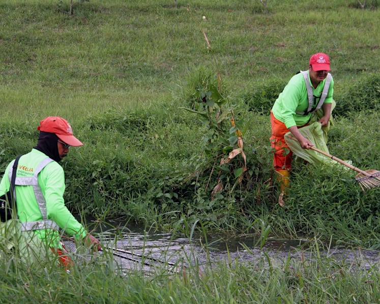 Two studies launched to monitor marine trash in Singapore