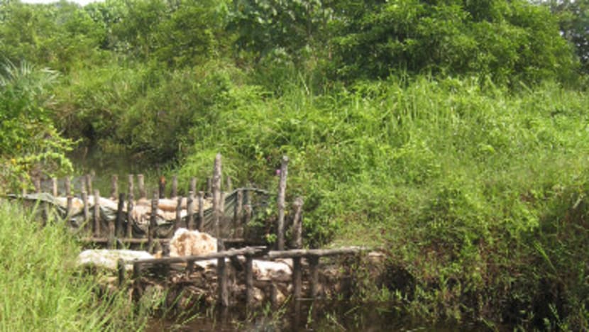Volunteer group seeks funds for haze prevention project in M’sia