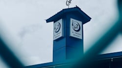 Related article image