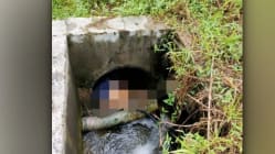 Related article image