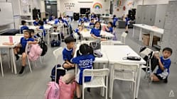 Related article image