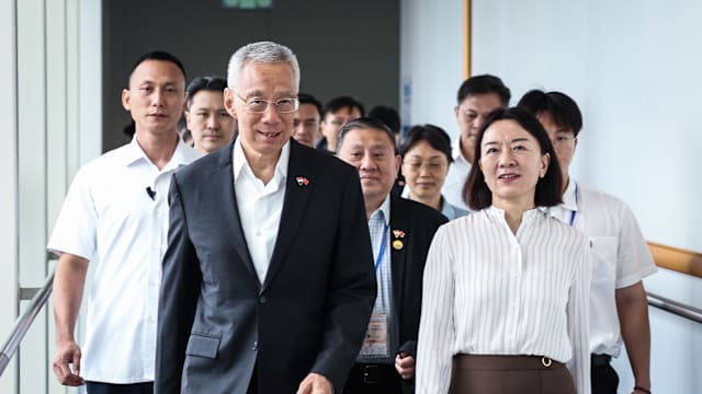 新中合资北部湾港集装箱码头不断壮大发展 李资政：国际局势动荡 各国更有必要加强合作