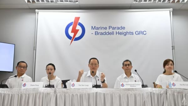 GE2025: PAP dedah pasukan GRC Marine Parade-Braddell Heights, diterajui Tan See Leng