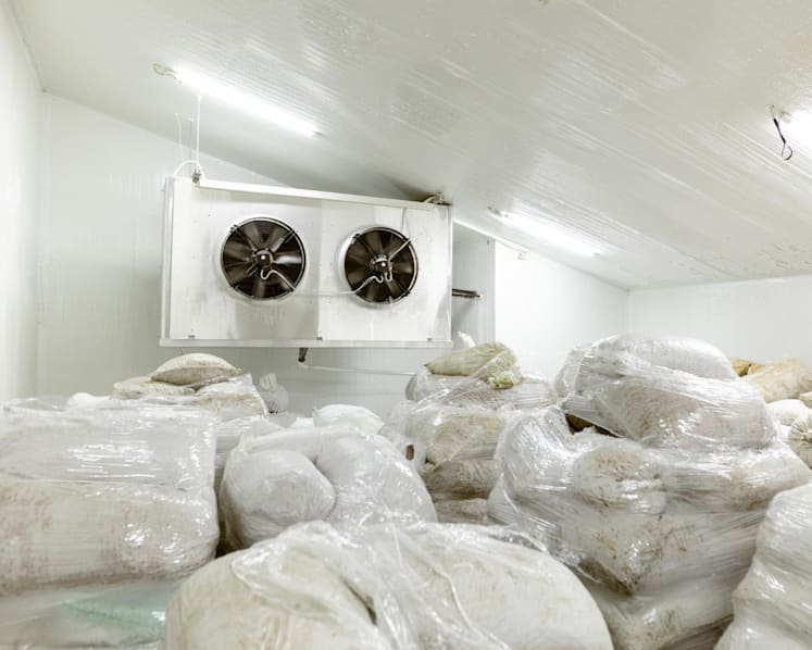 Singapore to tighten rules on refrigerants used in supermarkets, vehicles