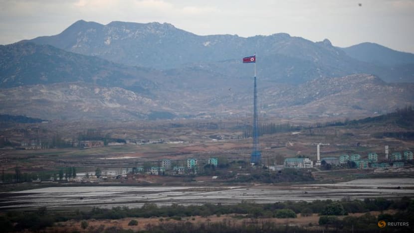 Elderly spies for North Korea appeal to be sent there: Seoul official