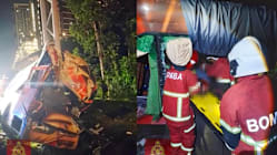Related article image