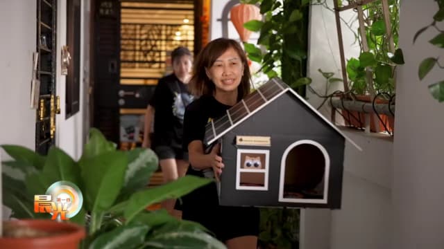 晨光|不同凡想：为流浪猫打造猫屋 美化组屋底层