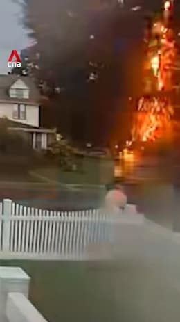 Man survives being struck by lightning in New York