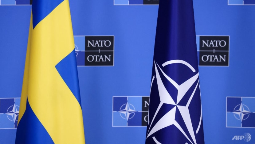 With NATO membership in mind, Sweden hands over Turkish man convicted of drug offences at home
