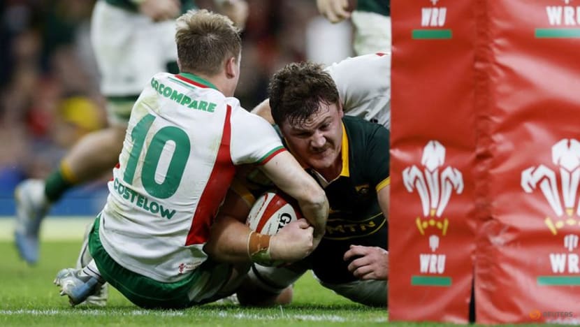 Springboks extend Wales's record losing run with 45-12 victory Springboks extend Wales's record losing run with 45-12 victory