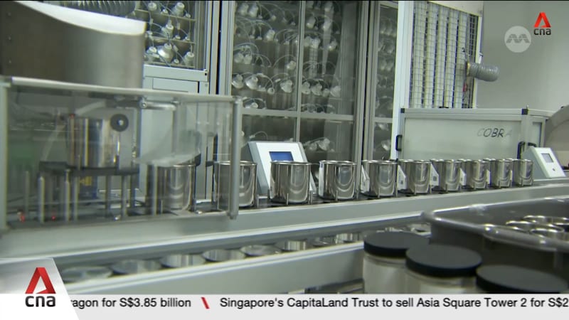 More energy-intensive firms in Singapore reducing power usage during peak periods