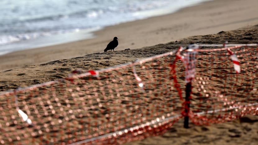 Covid-19: Playgrounds, beaches to reopen at start of Phase 2