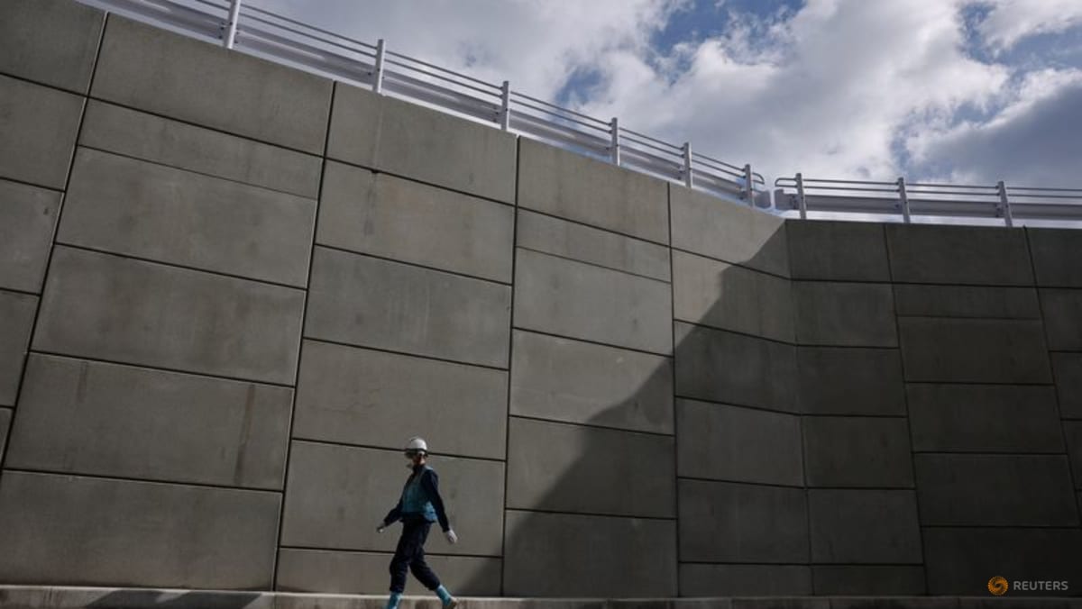 Japan government weighs golden share to maintain Tepco oversight, TV Tokyo says 