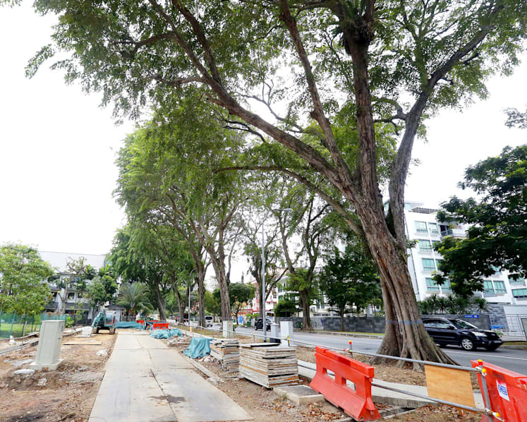 Pasir Panjang road-widening project to proceed