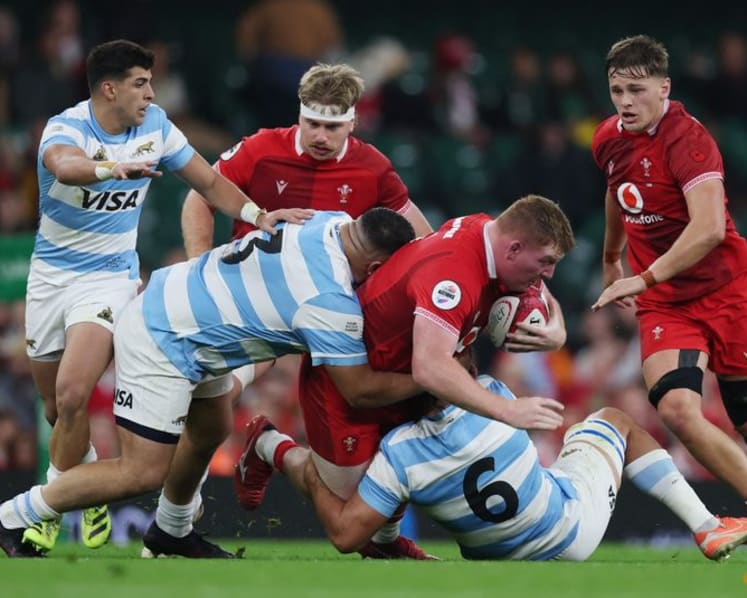 Argentina snuff out Welsh hopes of debut win for new coach