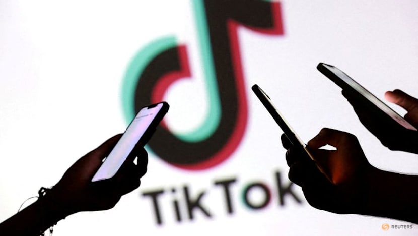 EU finds Meta, TikTok in breach of transparency obligations