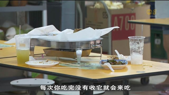 接连传出鸟患鼠患 珍珠百货商场小贩中心4月份翻新