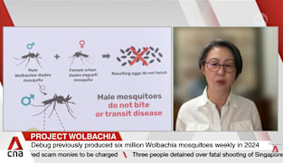 Expanded mosquito production facility now produces 10 million Wolbachia mosquitoes weekly