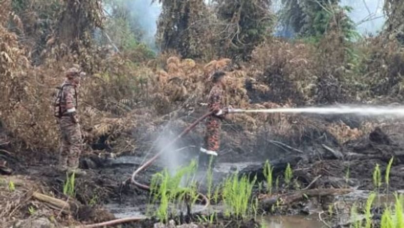 30 hektar kawasan hutan terbakar di Pekan dek cuaca panas
