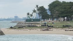 Long Island: Pihak berkuasa kaji cara kurangkan kesan jangka panjang terhadap alam sekitar