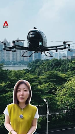 China's 'low-altitude economy' ambitions and what's keeping it grounded
