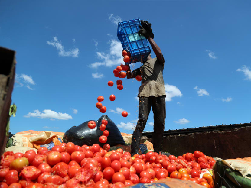 A worker gathers fresh produce that is being discarded as fewer people are shopping at the markets in Santo Domingo, Dominican Republic due to the Covid-19 pandemic. The pandemic has wreaked havoc on the supply chains as governments in many countries impose lockdowns to curb the spread of the virus.