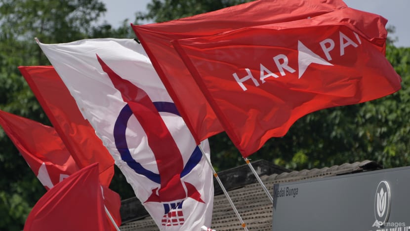Pakatan Harapan politicians lodge police reports over comments that could incite hatred in Malaysia Pakatan Harapan politicians lodge police reports over comments that could incite hatred in Malaysia