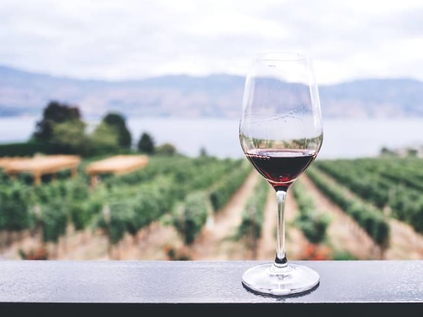 Wine investment: What to look out for and how much you'd need to start Wine investment: What to look out for and how much you'd need to start