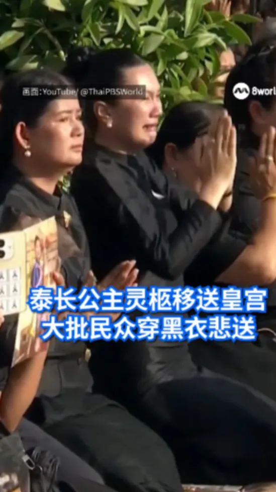 泰长公主灵柩移送皇宫