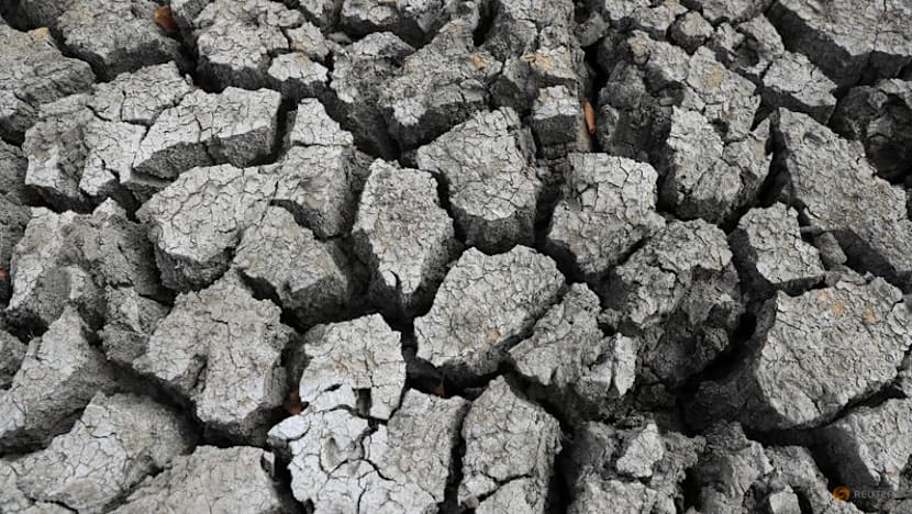 'Super El Nino' raises fears for Asia reeling from Middle East conflict