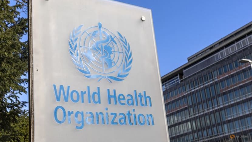 China in contact with WHO on respiratory diseases, says foreign ministry China in contact with WHO on respiratory diseases, says foreign ministry