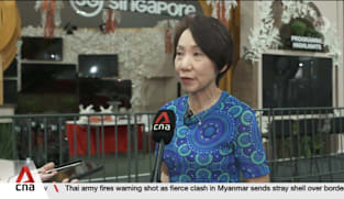 COP30: Crucial to show the world UN climate summit remains relevant, says Grace Fu 