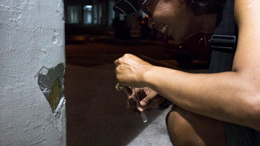 Ants as pets? The hobby is catching on in Singapore