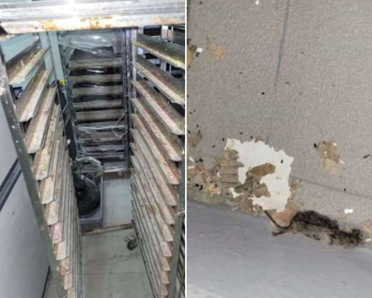 S$3,000 fine for bakery after dead mice were found on floor, among other food safety lapses