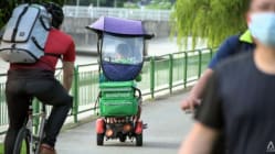 Related article image