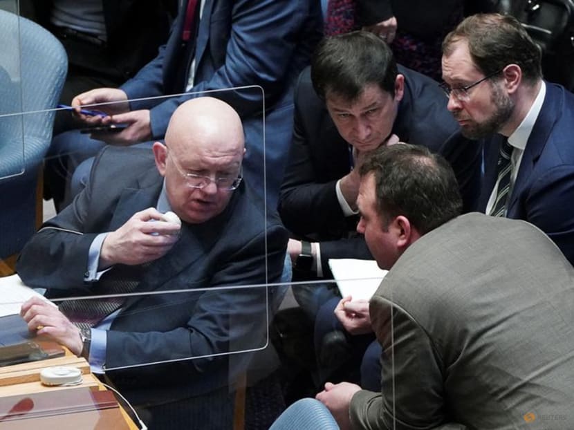 Russia pulls UN vote on Ukraine over 'arm-twisting' claims