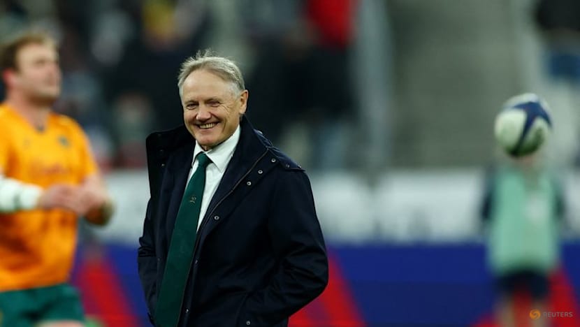 Wallabies boss Schmidt will not 'swap sides' to take on All Blacks role