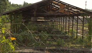 Farmers not surprised by Singapore’s new food sustainability goal, but analysts say '30 by 30' was no failure