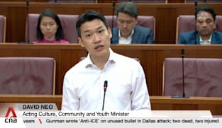 Singapore govt to help youth build bonds through sports, arts and heritage