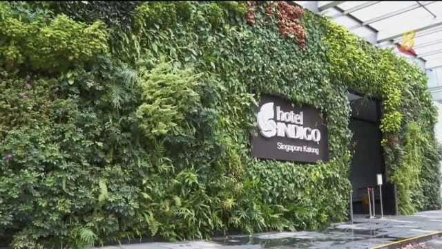 职总恒习调查：逾七成雇主有意在未来两年 为实施绿色计划招聘人才