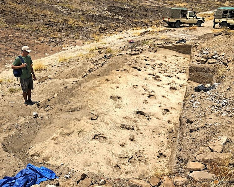 Kenyan footprints shed light on prehistoric human cousin Paranthropus