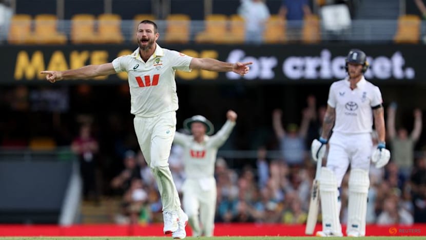 Australia's Neser hails special Ashes spell at Gabba after long absence