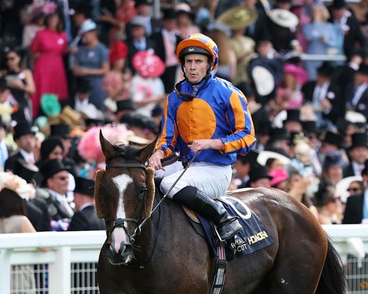 Scandinavia snatches Gold Cup in thriller as O’Brien seals 100th victory