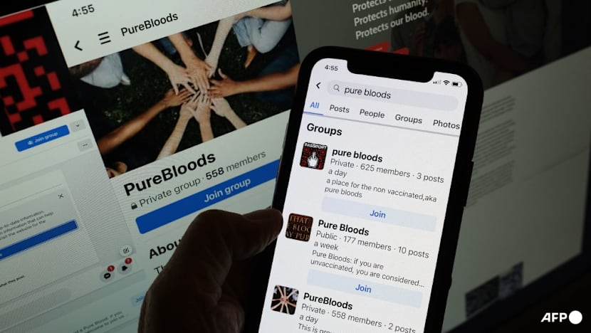 Vaccines facing misinformation spike: WHO experts