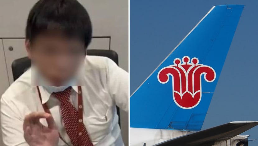 #trending: 'I can treat you like a dog' — China Southern Airlines suspends staff for alleged comments against passenger at Changi Airport