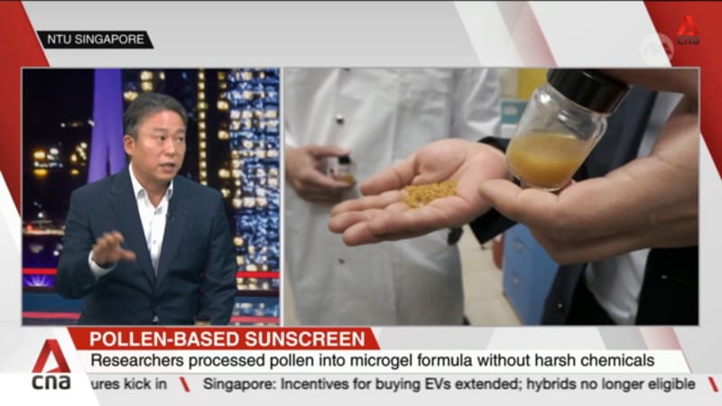 Pollen-based sunscreen: New invention cools skin, blocks UV rays without harming marine life 