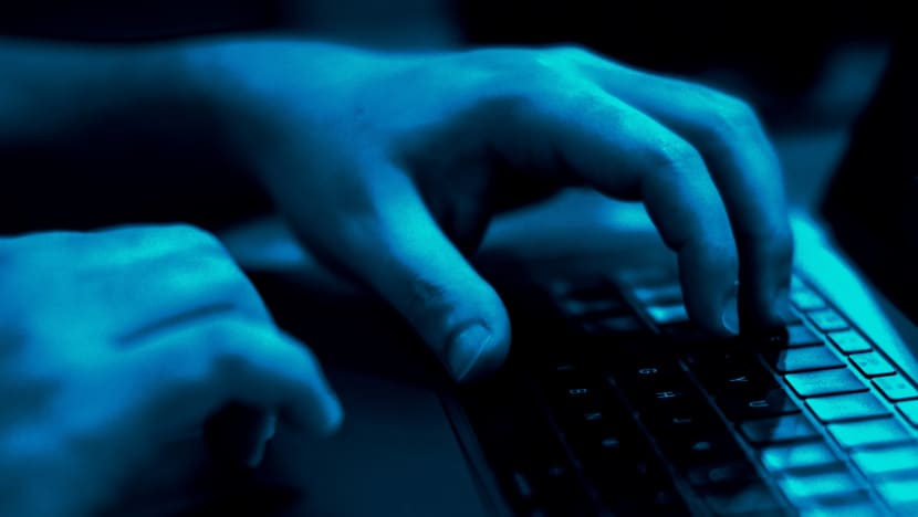 Self-radicalised Singaporean boy had ‘some friends in school’, spent much time online planning attack: ISD