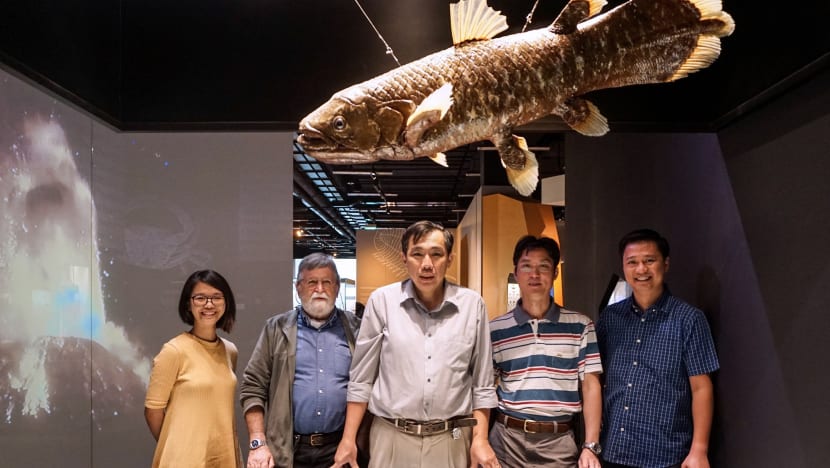 Secrets of the deep: Scientists from NUS, Indonesia set sail to explore marine life in West Java